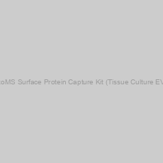 Image of ExoMS Surface Protein Capture Kit (Tissue Culture EVs)